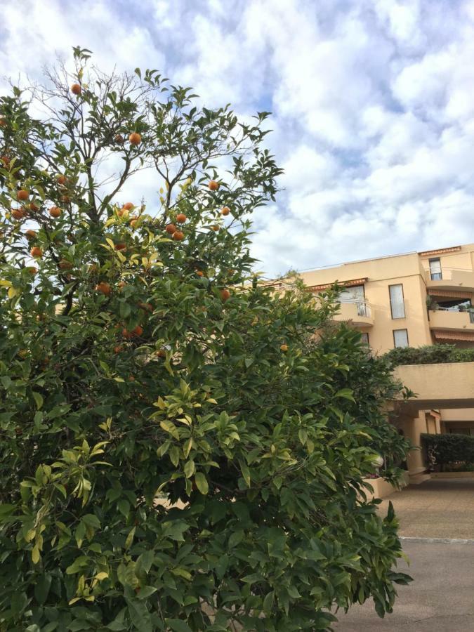 Les Orangers Διαμέρισμα Saint-Raphaël Εξωτερικό φωτογραφία